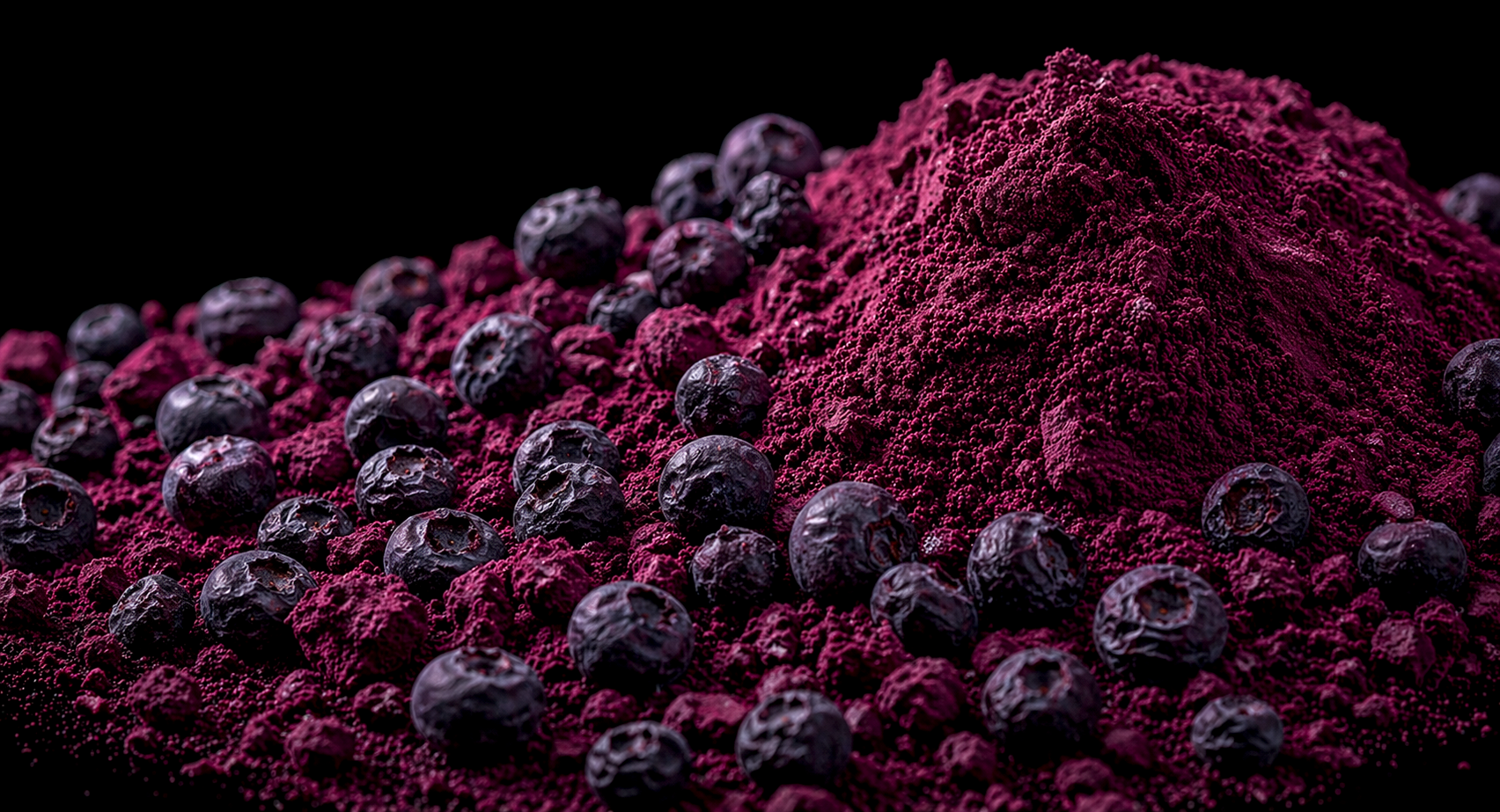 Freeze Dried Organic Blueberry